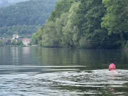 Mainschwimmen Juni 2026